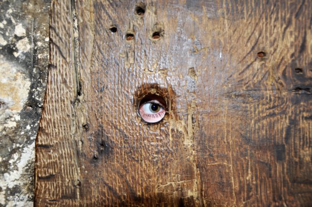 眼睛的间谍图片下载