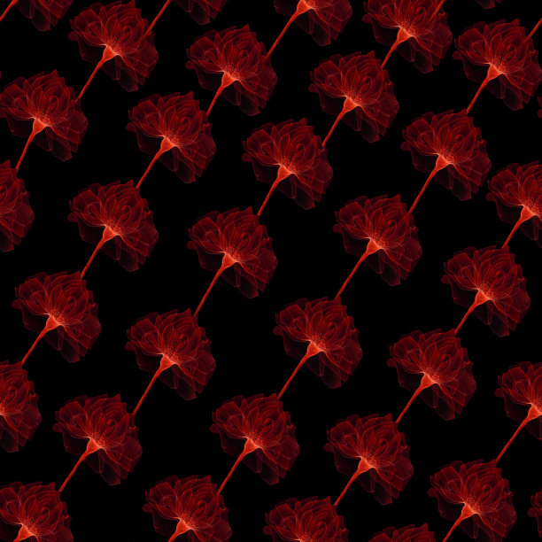 无缝透明的花图片下载