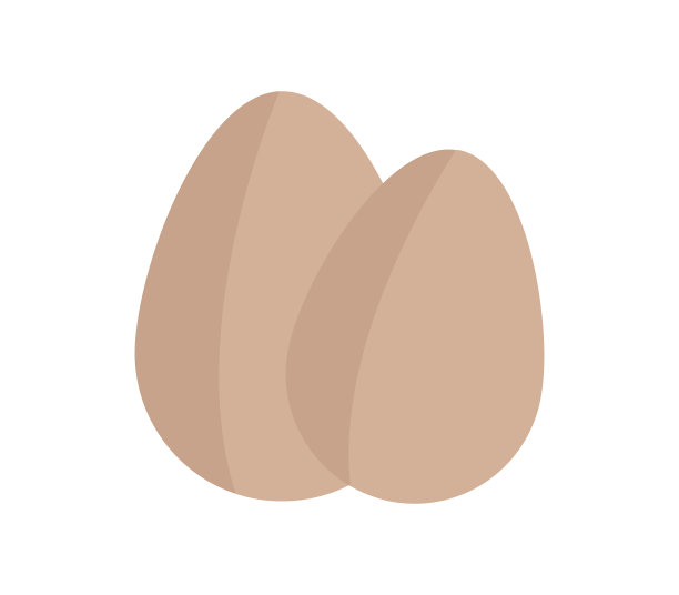 鸡蛋图标在白色的背景图片下载