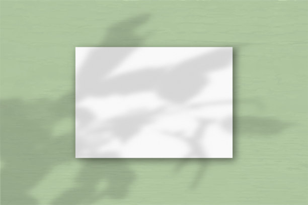 一张水平A4纸白色纹理纸在绿色墙壁的背景。模型覆盖的植物阴影。自然光在外来植物上投下阴影。水平方向图片下载