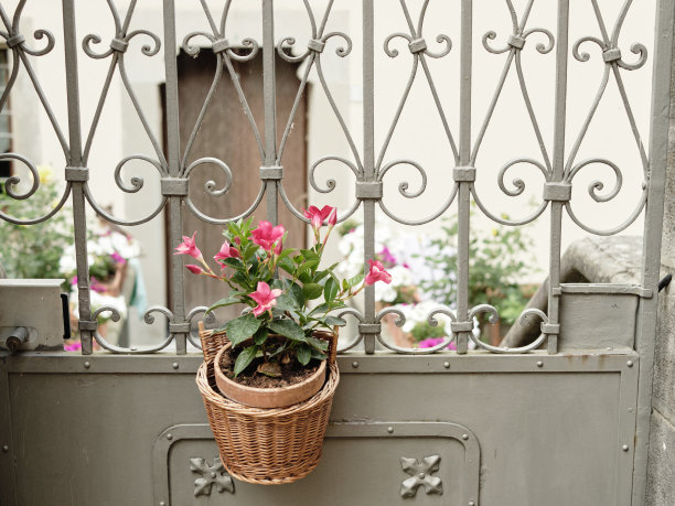 封闭式别墅大门挂盆花植物图片下载