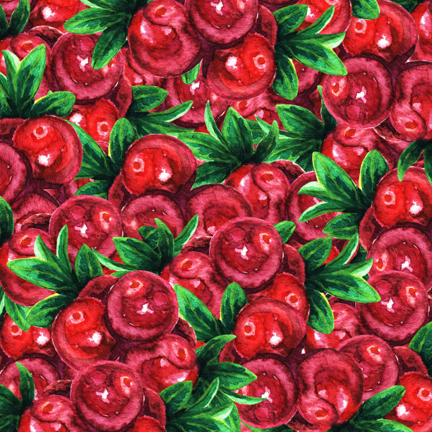 蔓越莓的背景充满了浆果。越橘水彩模式。贝瑞背景说明。图片下载