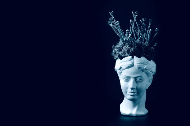 古老雕像的头部有嫩蕨芽和青苔。关于美发主题和发型的概念。在黑色的背景上图片下载