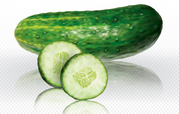透明背景上的黄瓜图片下载