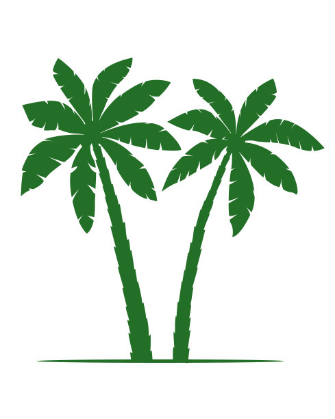 棕榈树剪影矢量插图孤立在白色背景。矢量插图。EPS文件。图片下载