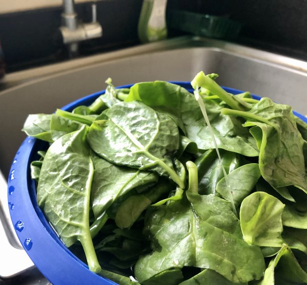 在厨房水槽洗青菜图片下载