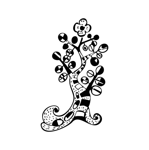 钱币树的生长图片下载