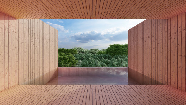 私人泳池，从房间单元观看，木结构风格，背景景观是森林。三维演示图片下载