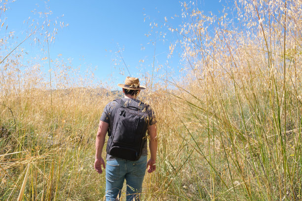 一名年轻的白人男子戴着一顶草帽徒步穿过一片高高的植物田图片下载