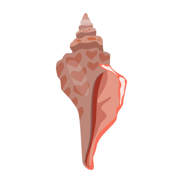 珊瑚红贝壳插图图片下载