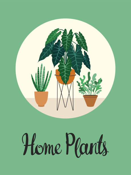 盆栽扁平明信片模板。叶面室内植物，异国情调的植物在圆形框架。室内写实绿色榕树、棕榈叶插画。花香家海报与书法图片下载