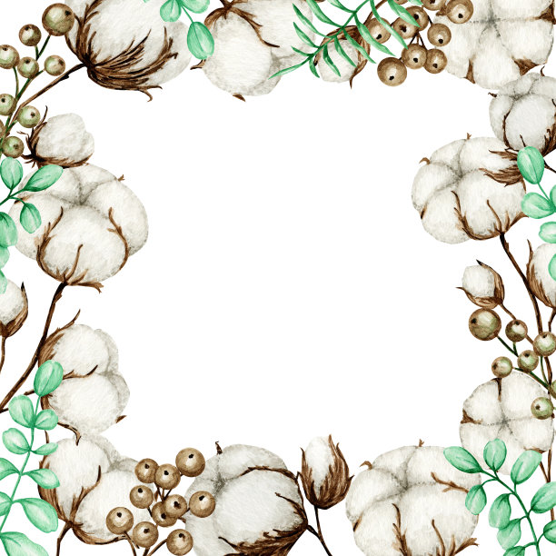 水彩画棉花花枝架。植物手绘生态产品插图。棉花花的芽球在复古风格。绿色的叶子，植物球自然生态的生活方式边界与复制空间图片下载