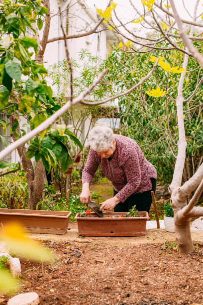 长者种花图片下载