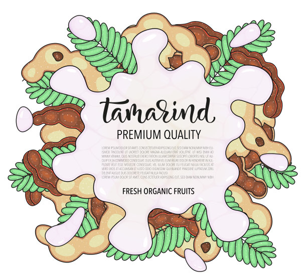 矢量背景与罗望子，整个和碎片。矢量股票插图孤立在白色背景。卡片设计与水果。泼点水或牛奶。产品信息和文字。图片下载