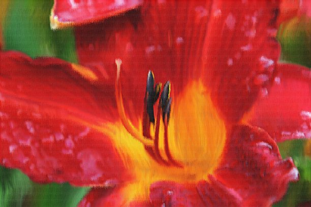 大自然的美丽图片下载