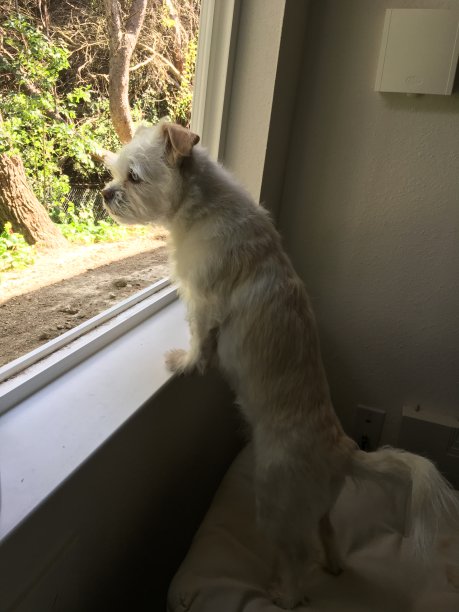 早晨伸展图片下载