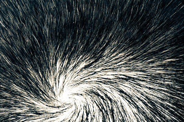 人的头发的质地。宏。一个男人的头冠，漂亮的头发卷曲成螺旋状。图片下载