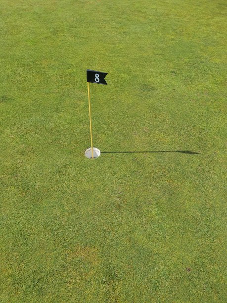 草地上的高尔夫球洞图片下载