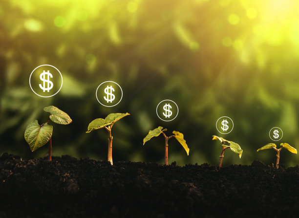 种植种子和金钱。金融、创业、投资、商业的概念。图片下载