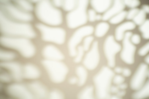 在阳光明媚的天气里，白色的墙上挂着树叶的影子。阴影叠加效果的照片。图片下载