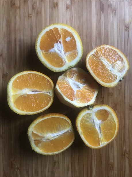 柑橘类图片下载