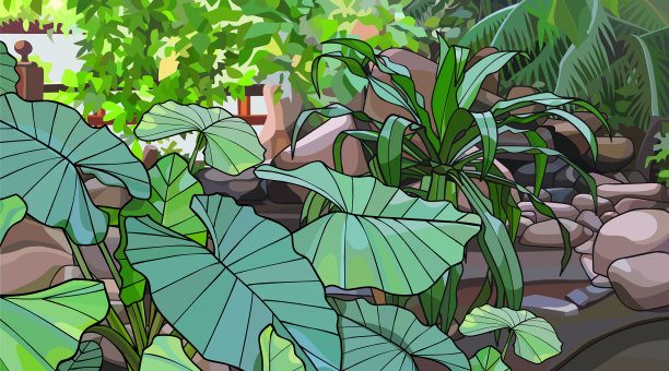 背景有茂密的丛林热带绿色图片下载