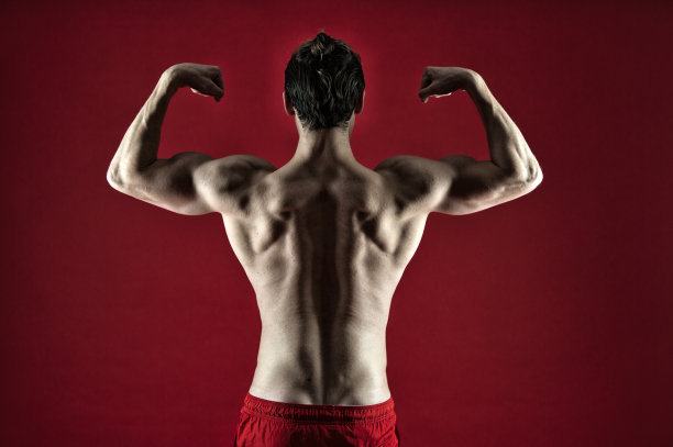 有吸引力的家伙，肌肉发达的背部。骄傲卓越的身材。肌肉健美运动员的概念。健康和强壮。肌肉发达的帅哥。提升自己。肌肉发达的男子运动员自信地站着图片下载