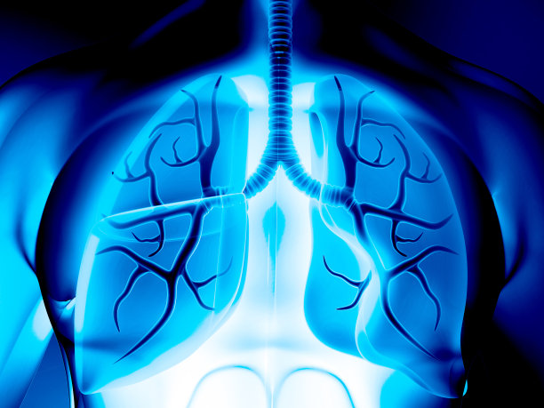 人体有呼吸系统，肺解剖图片下载