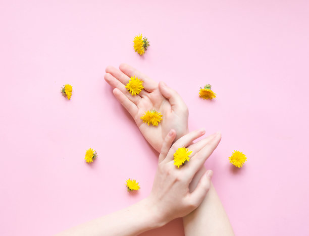 美丽的手在春天的女人和鲜花在她的手上与明亮的对比化妆。创意美照片手女孩坐在桌子上对比的背景。护肤概念图片下载