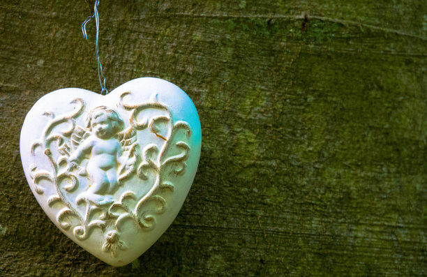 树干上的葬礼心形图案、森林中的自然墓地、树葬和万圣节概念图片下载