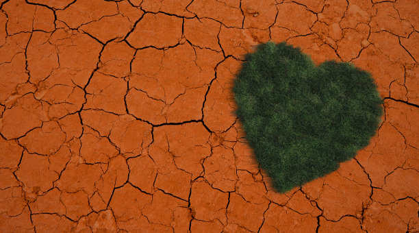 死土上的绿心图片下载