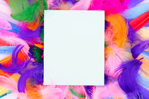 色彩斑斓的羽毛图案图片下载