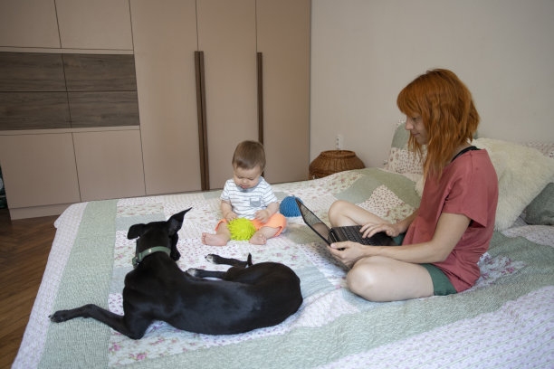 带着儿子和狗在家工作图片下载
