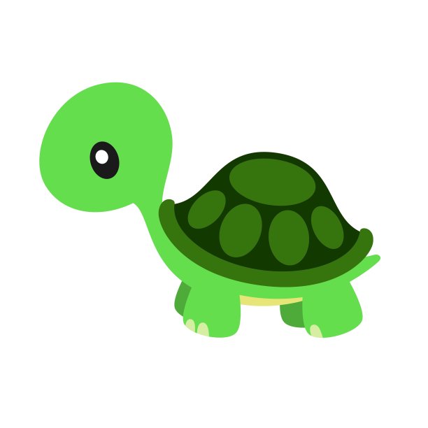 可爱的海龟矢量插图在白色图片下载