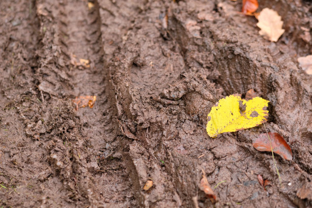 山地车在泥泞中留下的车轮痕迹图片下载