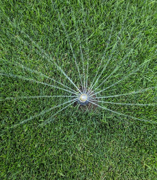 自动花园灌溉系统浇灌草坪。使用可调喷头的喷灌系统节约用水。自动灌溉设备，维护草坪，园艺。图片下载