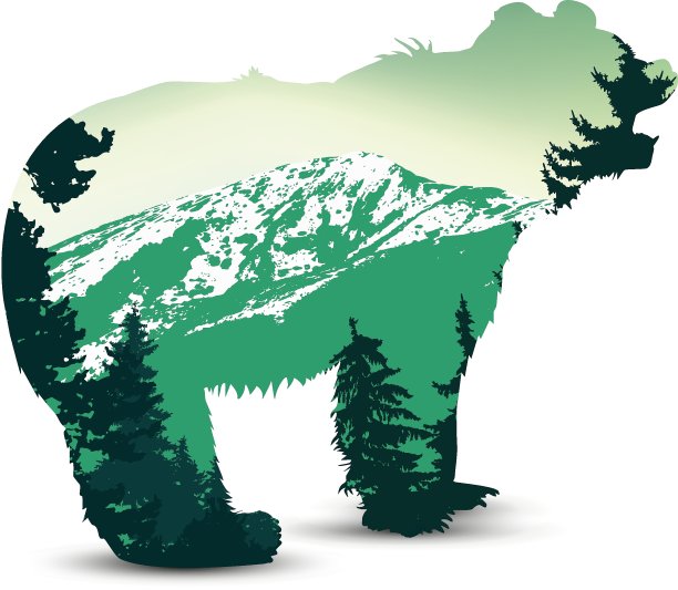 轮廓的熊图片下载