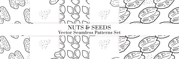 坚果和种子载体模式。草图设计图片下载
