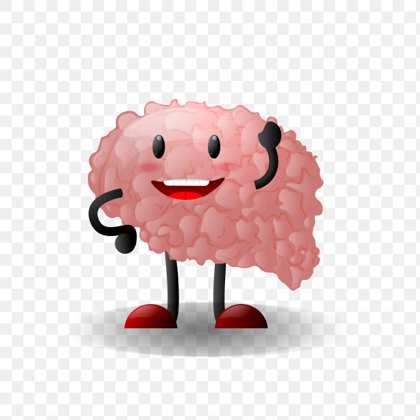 大脑人体内部器官逼真图片下载