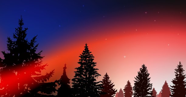 针叶树的剪影图片下载