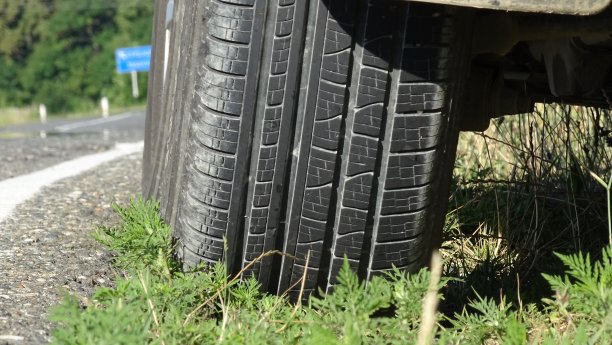 山清水秀，森林到天涯。锥体杨树。背景图片。图片下载