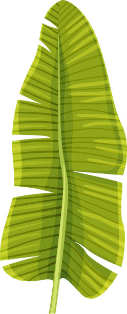 有交叉脉的程式化的芭蕉叶图片下载