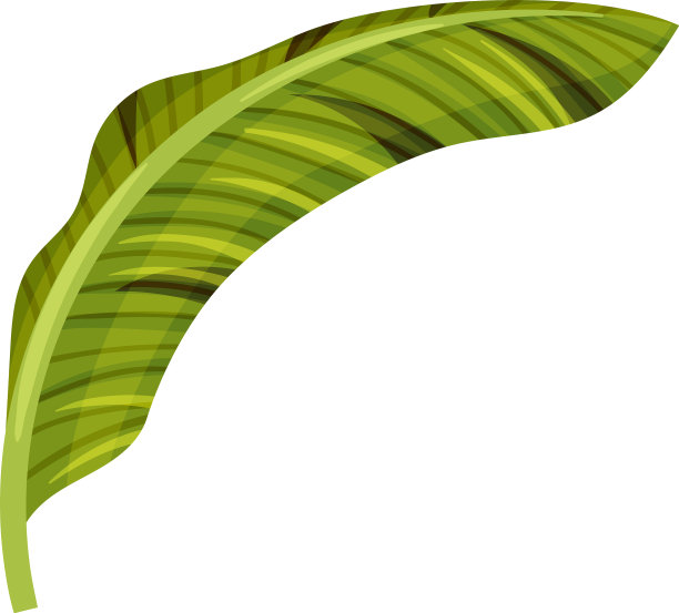 有交叉脉的程式化的芭蕉叶图片下载