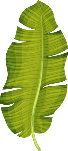 有交叉脉的程式化的芭蕉叶图片下载