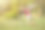 可爱的6岁小女孩在阳光明媚的夏日在自家花园里玩抛绳游戏。休闲活动的概念。图片下载
