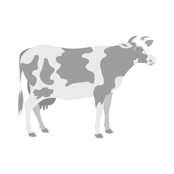 牛站观侧面白色背景图片下载