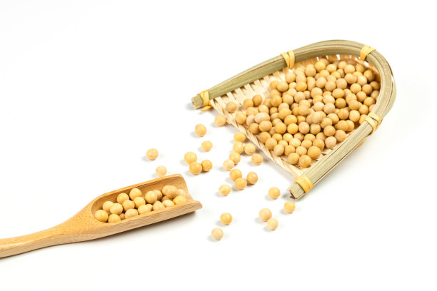 白底大豆图片下载