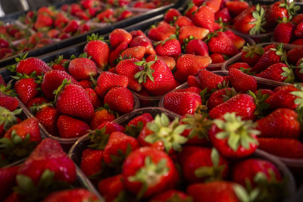 新收获图片下载