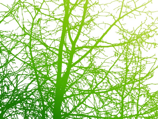 自然背景。图片下载