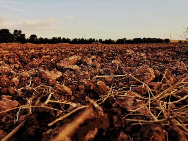西班牙卡斯蒂利亚·拉曼查的田野和红土图片下载